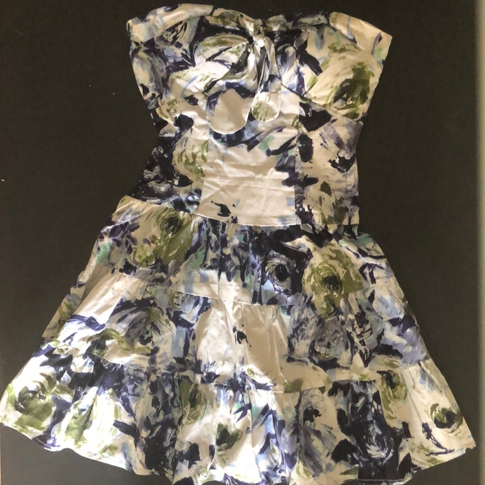 Alyn Paige Floral Day Dress